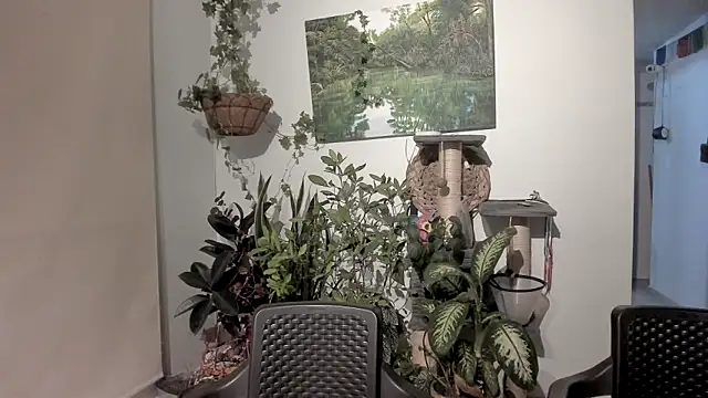 sexnherbs webcam