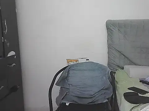 IronSideBear webcam