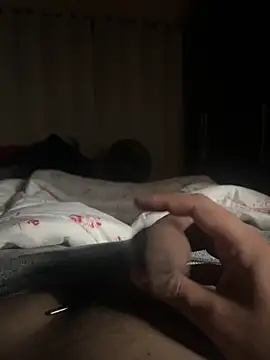 novinn13