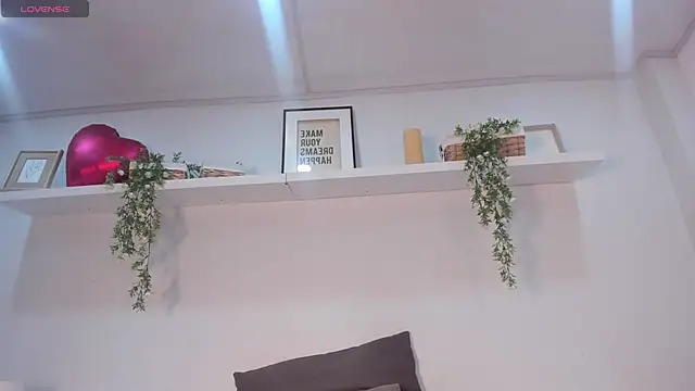 Nicolle_Evanss_ webcam