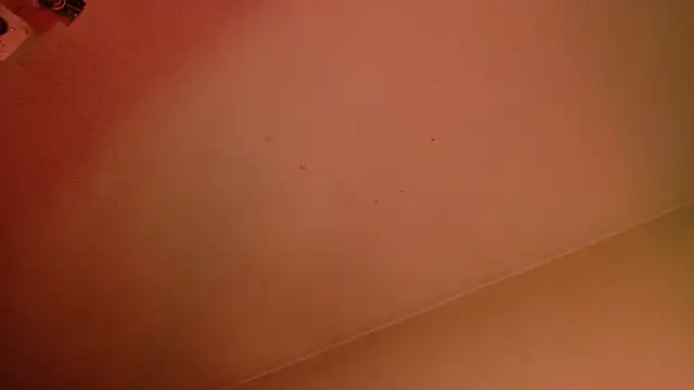 SmokyDee webcam
