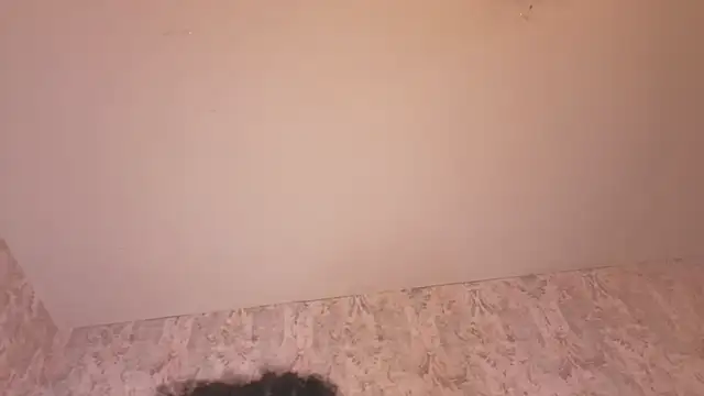 Benny_and_Mark webcam