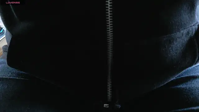 IndienTiger webcam