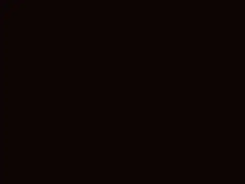pietje1991 webcam