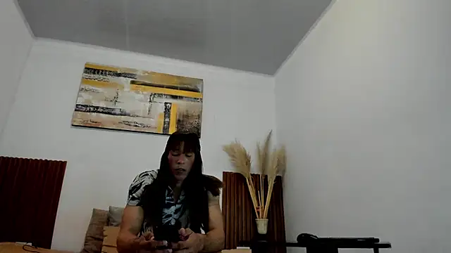 jean_sneider webcam