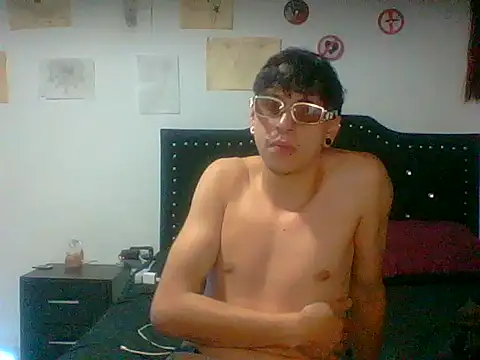 Noah_mod webcam