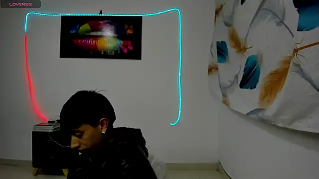 caos_mod webcam
