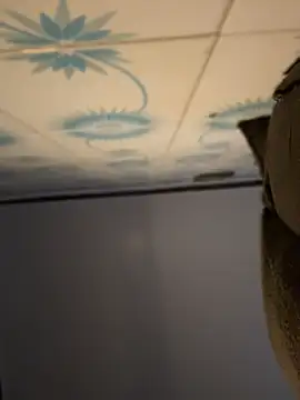 alicemeb webcam