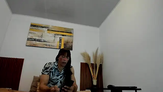 jean_sneider webcam