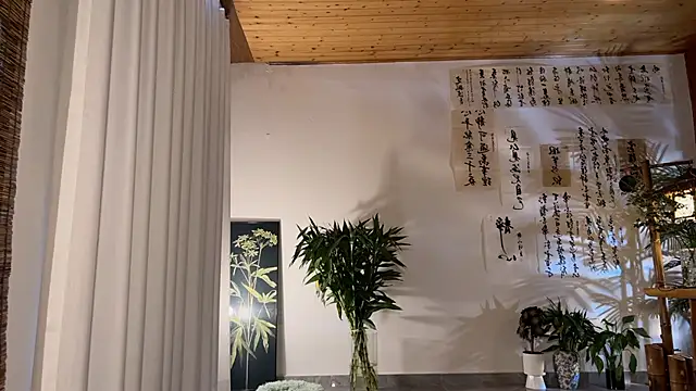 meowLili online webcam