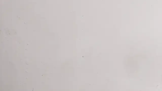 DarlenaNastasia webcam