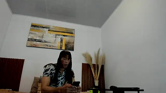 jean_sneider webcam