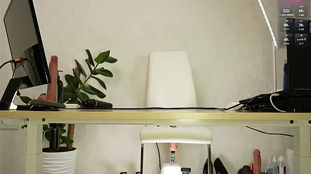 __Fox__ webcam