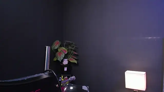 Amy_whittee webcam