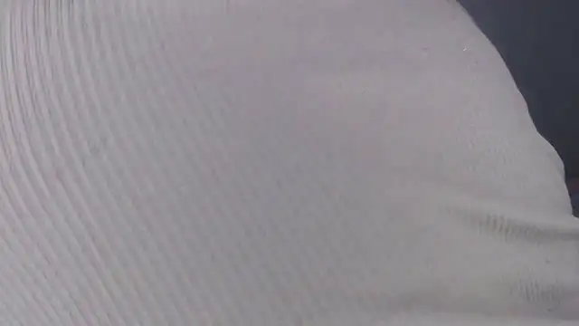 liztaylor webcam