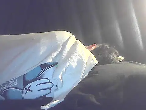 lio____ webcam