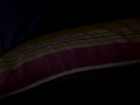Skinnynerd webcam