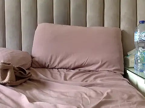 CaiBull webcam