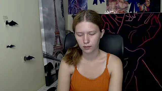 StellaCRL webcam