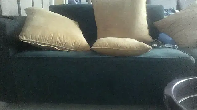 Winterslender webcam