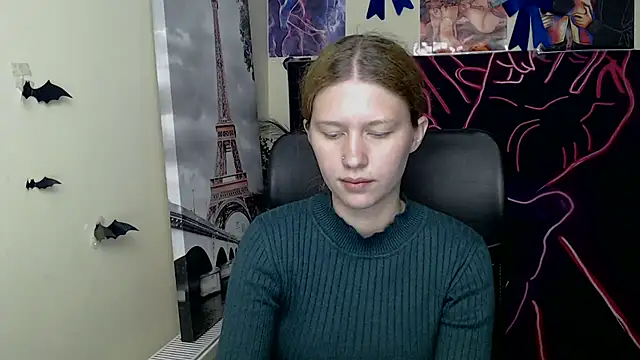 StellaCRL webcam