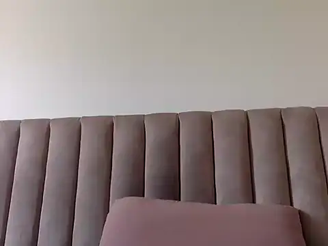CaiBull webcam