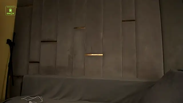 BrandonNorris webcam
