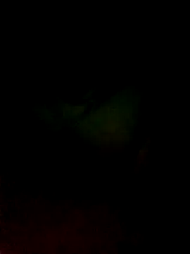 TuVergaFavoritaCallme webcam
