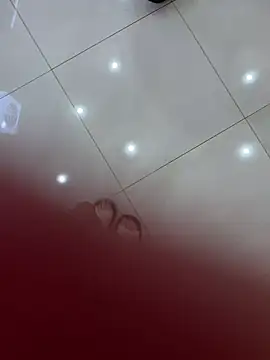 littleqiu