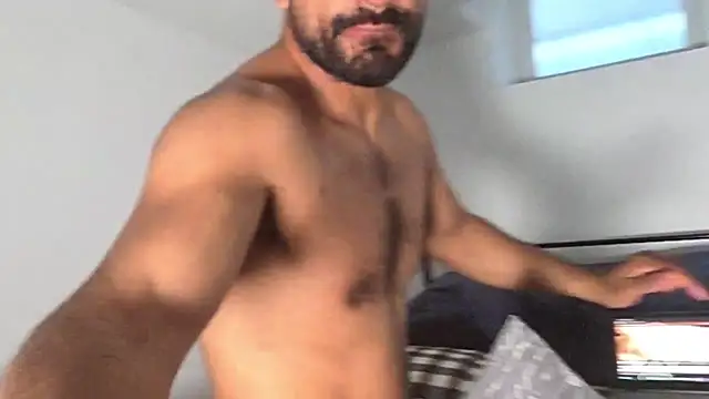 piggylatino