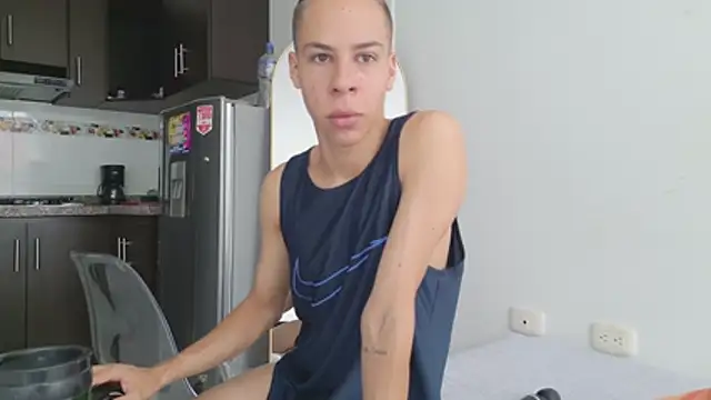 grey___27 webcam