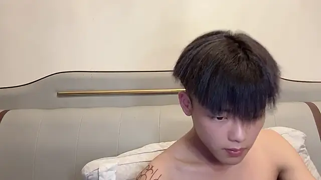 LY-0101 webcam