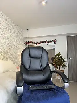 ELA_PS webcam