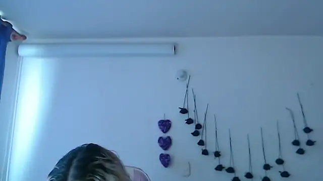 SLOPPYTITSS webcam