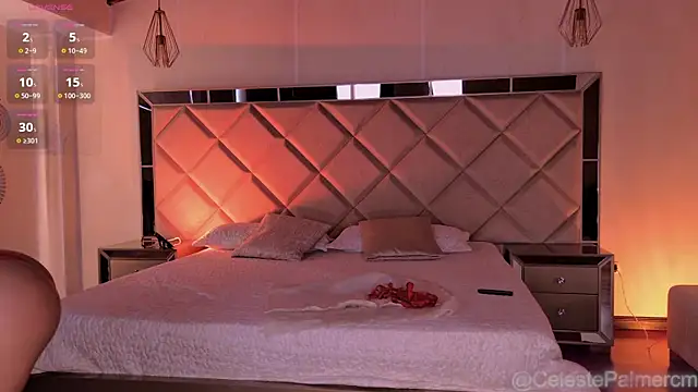 CelestePalmer_ webcam