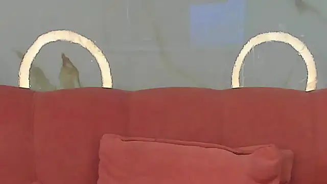 BridgetRodriguez webcam