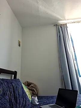 IrisBound webcam