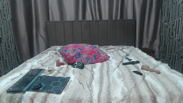 scyrim2 webcam