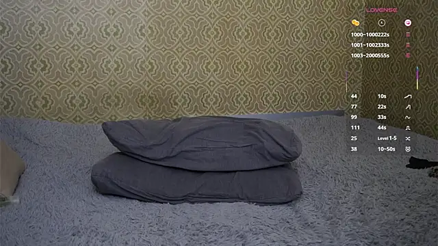 Miaisbeeach webcam