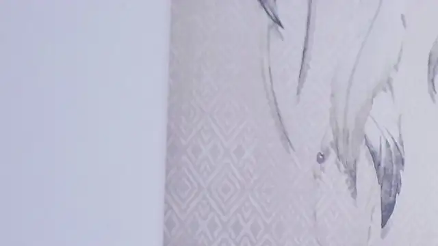 queen_adhara webcam