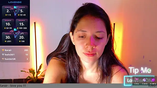 Sarasavage webcam