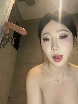 AYW-21 webcam