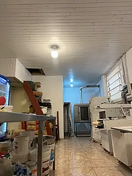 Gatitacarlita live sex cam