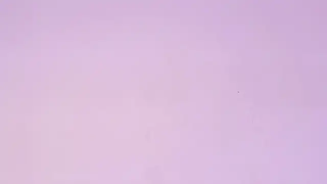 sara_ck