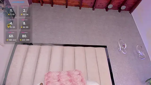 Ambarr_Moon_ webcam