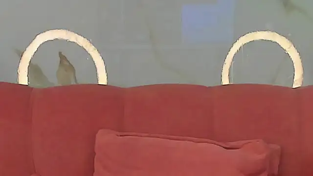 BridgetRodriguez webcam