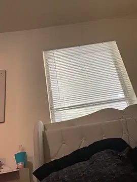 mswetwet3 webcam