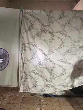 CaptainFox webcam