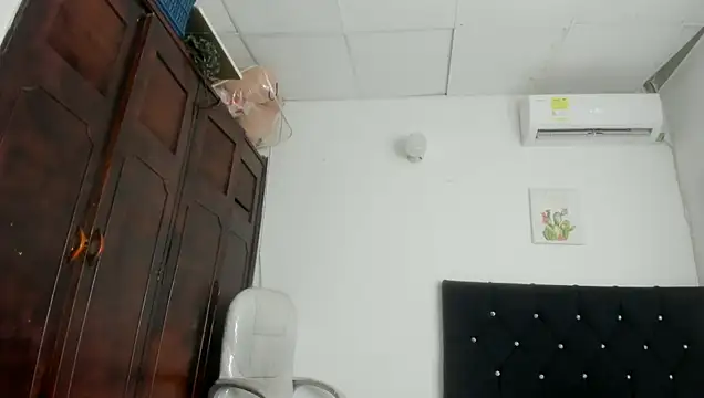 barbie_ds webcam