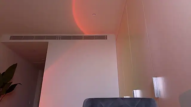 _vixenp